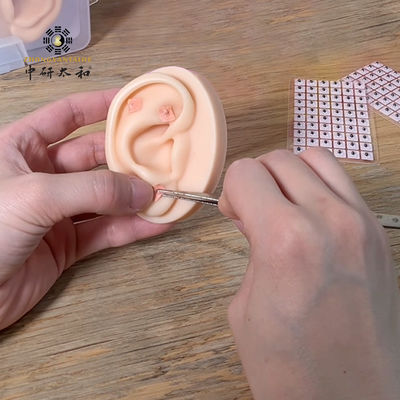 Terapia auricular Suplemento herbal Orelha Vaccaria Sementes para uso externo