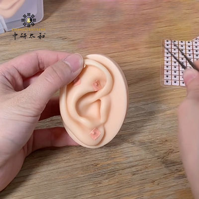 100 Pcs Terapia de acupuntura na orelha Sementes de Vaccaria Medicina chinesa Aparelhos fitoterápicos