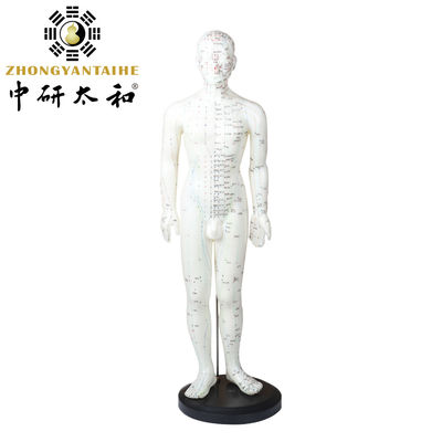 Versatilidade Várias Técnicas de Acupuntura Modelo corporal Pesando aproximadamente 5 kg