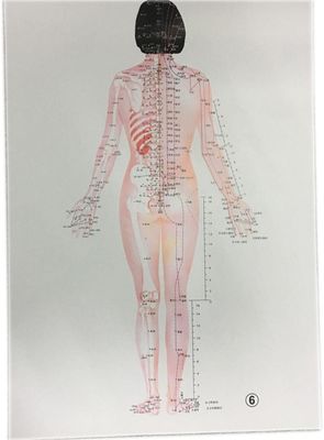 Medicina Tradicional Chinesa Individualizada Tratamento Seguro e Eficaz