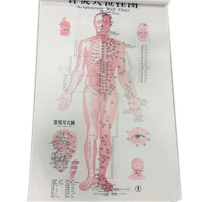Medicina Tradicional Chinesa Individualizada Tratamento Seguro e Eficaz