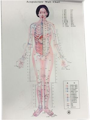 Medicina Tradicional Chinesa Individualizada Tratamento Seguro e Eficaz